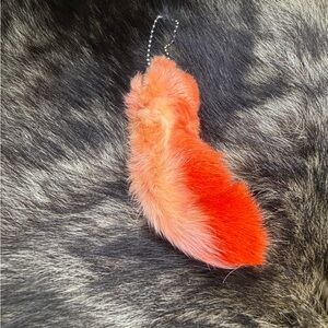 Luck rabbits foot
